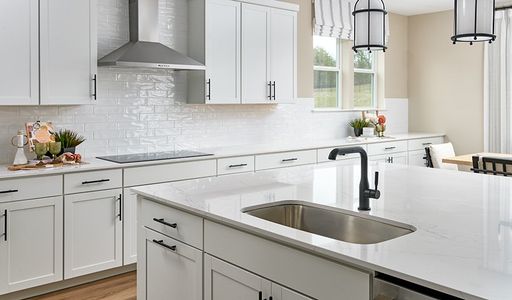 Catelonia by Richmond American Homes in Mount Juliet - image 8