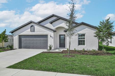 Royal Highlands by LGI Homes in Brooksville - photo 8 8