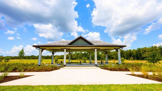 Archer at Two Rivers by D.R. Horton in Zephyrhills - image 13