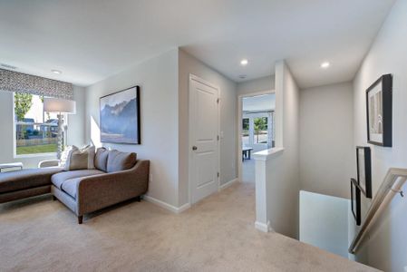 Meadow at Jones Dairy Townhomes by Drees Custom Homes in Wake Forest - image 16