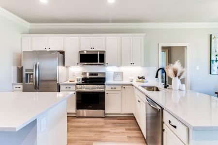 Eagle Pointe by DSLD Homes in Pensacola - image 5