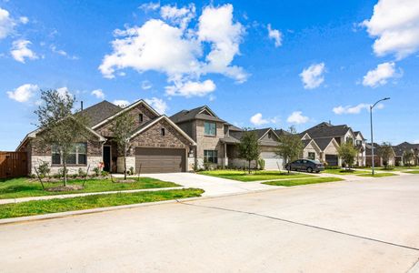 Lone Star Landing by M/I Homes in Montgomery - photo 17 17