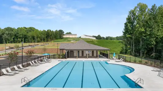 Oconee Overlook Townhomes by D.R. Horton in Gainesville - image