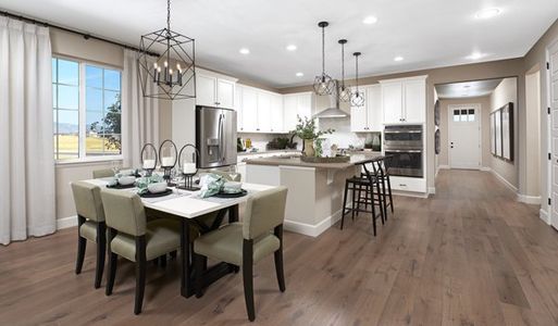 Ascent Village at Sterling Ranch by Richmond American Homes in Littleton - photo 17 17