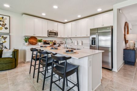 Berry Bay by M/I Homes in Wimauma - image 8