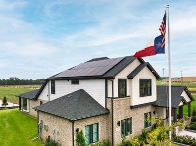Copia Pines: Copia Pines 50' Homesites 2