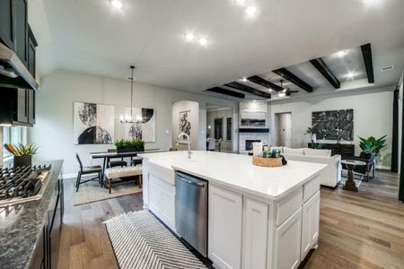 Potranco Oaks by Davidson Homes LLC in Castroville - photo 20 20