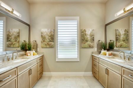 The Estates Collection at Bluff Haven 10