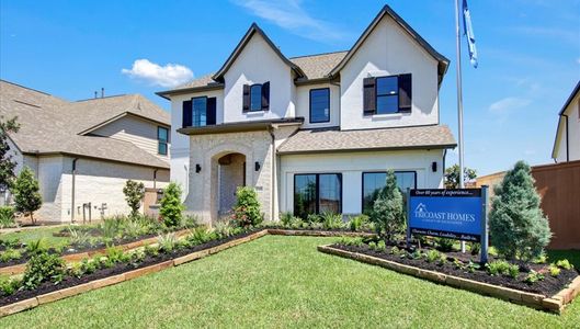 Sunterra 40 by Tricoast Homes in Katy - image 4