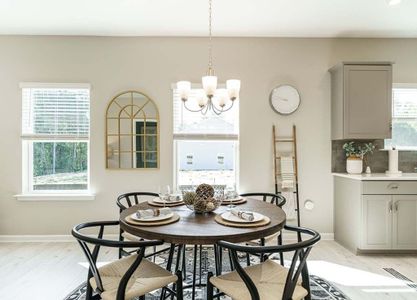 Orchard Creek by Smith Douglas Homes in Charlotte - photo 12 12