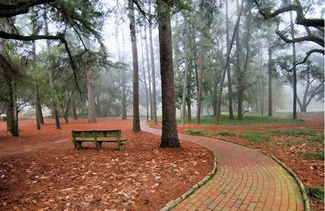 Hitchcock Preserve 60' by Veranda Homes in Aiken - image 20