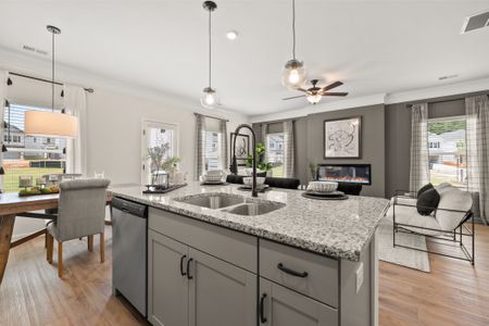 Crescent Towns by Smith Douglas Homes in Riverdale - image 5