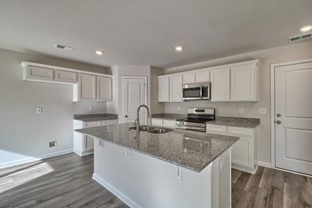 Pine Street by McGuinn Homes in Yemassee - image 17