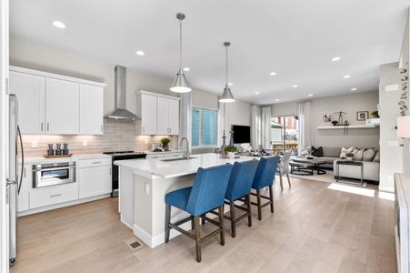 Painted Prairie by Berkeley Homes in Aurora - photo 20 20