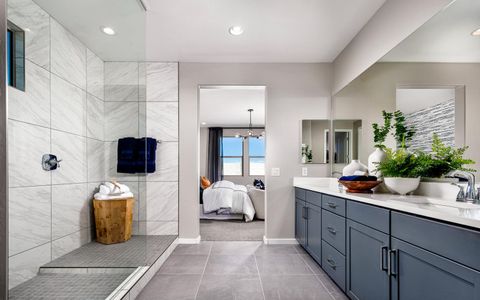 Wildflower at Blossom Rock by Brookfield Residential in Apache Junction - image 8