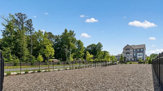 Forrest Crossing: Forrest Crossing Townhomes 18