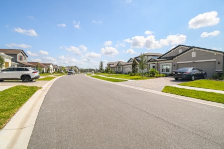 Avalon West by M/I Homes in Spring Hill - photo 9 9