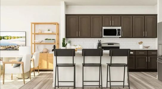 Carolina Springs: Designer 13