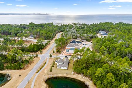 Steamboat Landing at Hammock Bay by DSLD Homes in Freeport - image
