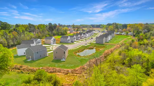 Stout Cottages by Dream Finders Homes in Dunn - image