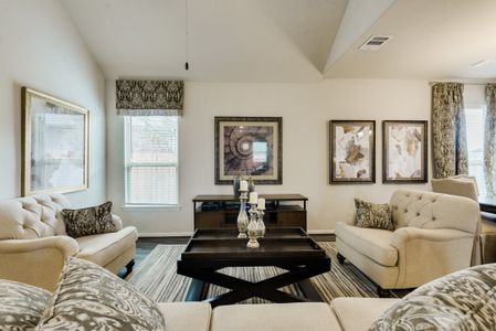 Balmoral East by Colina Homes in Houston - photo 5 5