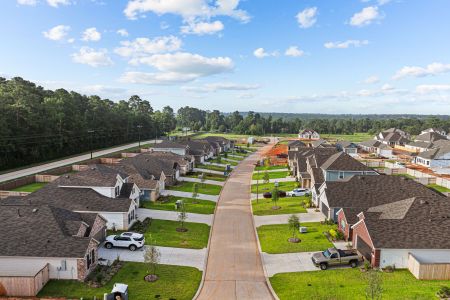 Lone Star Landing by M/I Homes in Montgomery - photo 4 4