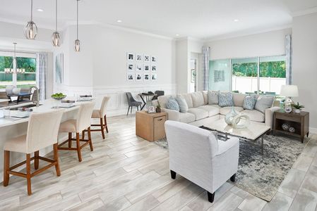 Marisol Pointe at MiraBay Florida Series by Park Square Residential in Apollo Beach - photo 18 18