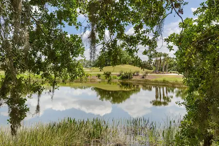 Verandah by Neal Communities in Fort Myers - image 6