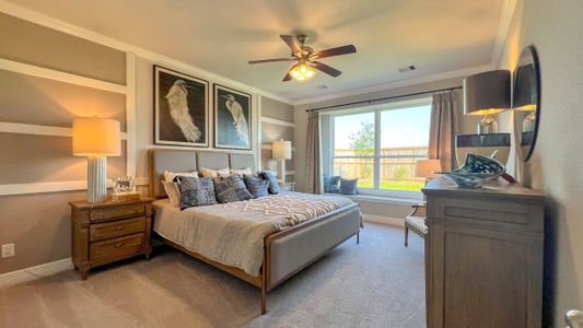 Foxtail Palms by Smith Douglas Homes in Manvel - photo 15 15