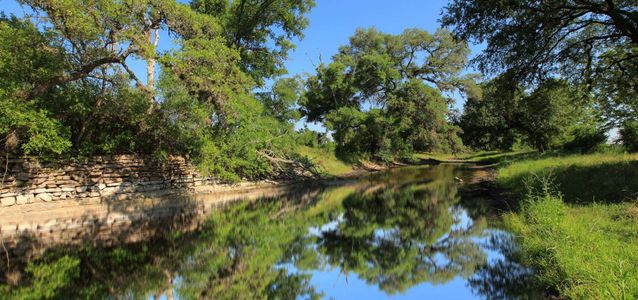 Meyer Ranch: 50ft. Lots - (A) by Highland Homes in New Braunfels - photo 16 16