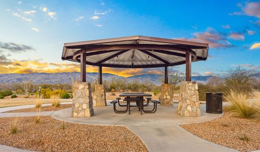 The Oasis at Rocking K by D.R. Horton in Vail - image 12