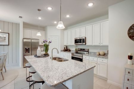 Village at Windsor Reserve by Stanley Martin Homes in Eagle Lake - photo 29 29