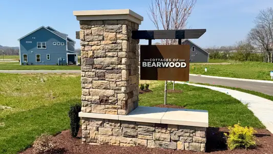 Cottages of Bearwood by DRB Homes in Mount Pleasant - image