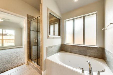 Saginaw Springs by Megatel Homes in Fort Worth - photo 6 6