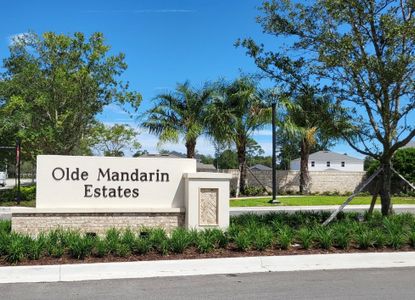 Olde Mandarin Estates by Mattamy Homes in Jacksonville - photo 0