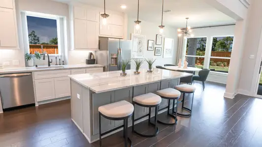 Valencia on The Lake by First Texas Homes in Little Elm - image 4