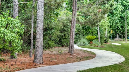 The Highlands: Pinnacle Collection by Lennar in Porter - image 18