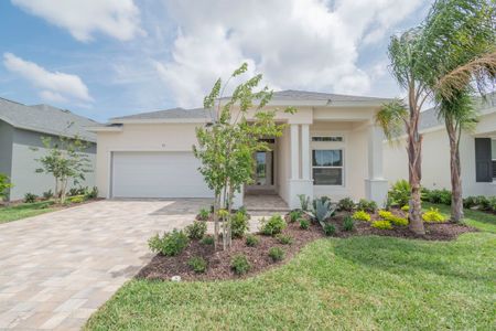 Coastal Gardens at Town Center by Paytas Homes in Palm Coast - photo 3 3