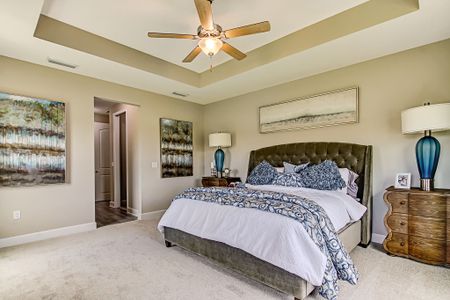 Sandy Creek by SEDA New Homes in Saint Augustine - photo 56 56