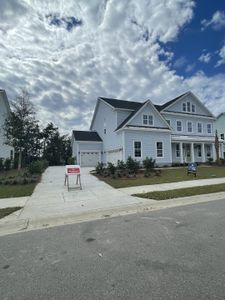 Cordgrass Landing by Mungo Homes in Johns Island - photo 14 14