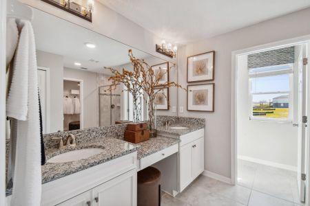 Berry Bay by M/I Homes in Wimauma - photo 45 45