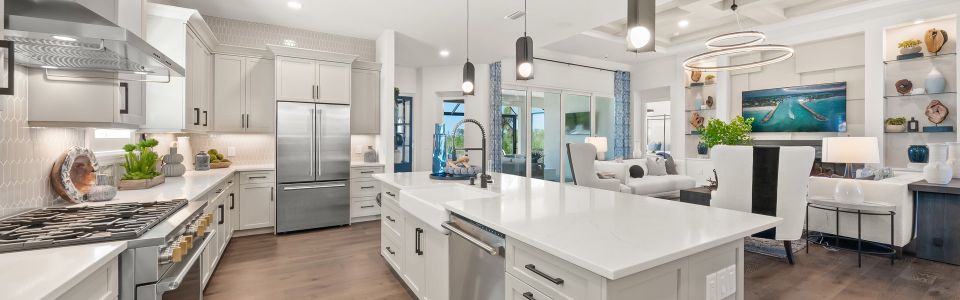 Palmera at Wellen Park by Homes by Towne in Venice - image 8