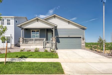 Reserve at Timberline by Dream Finders Homes in Fort Collins - photo 1 1