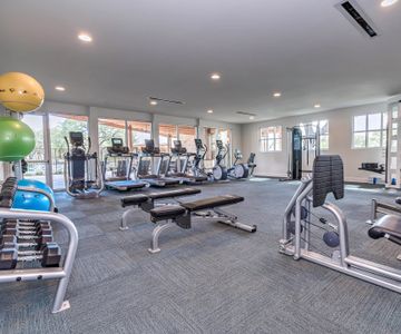 Larkspur by Milestone Community Builders in Leander - photo 8 8