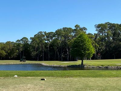 Tea Olive Terrace at the Fairways by William Ryan Homes in Palmetto - photo 7 7