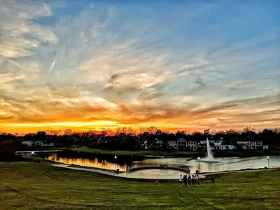 Sienna - 45' by Westin Homes in Missouri City - image