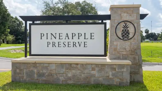 Pineapple Preserve by D.R. Horton in Vero Beach - image