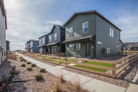 Bloom Cottages 28