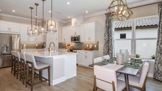 Esplanade at Artisan Lakes by Taylor Morrison in Palmetto - photo 44 44