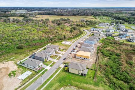 Cobblestone by M/I Homes in Zephyrhills - photo 4 4